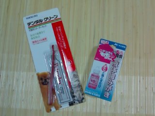 歯みがきグッズ