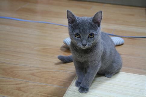ちよ1歳4
