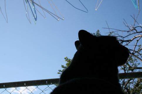 空とちよ9