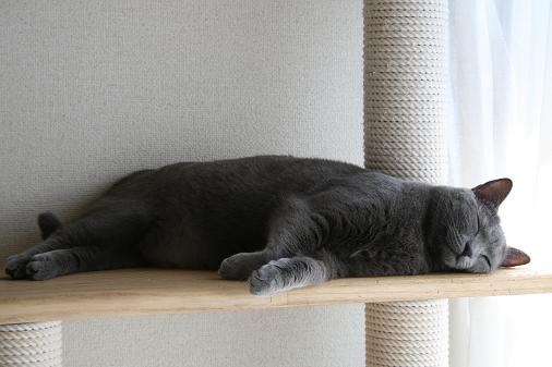 ZZZ