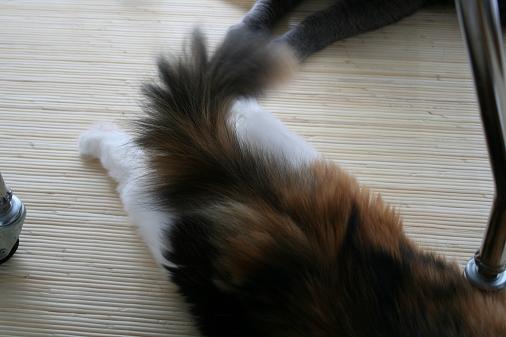 ひらき3