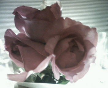 201104151721000.jpg