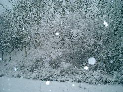 15年ぶりの大雪!