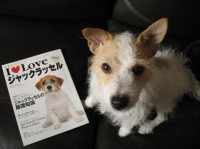 クリックすると大きな写真が見られます。