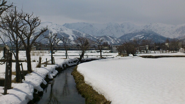 DSC_0517.jpg