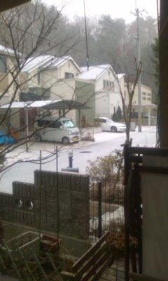 100206_0911~02.jpg