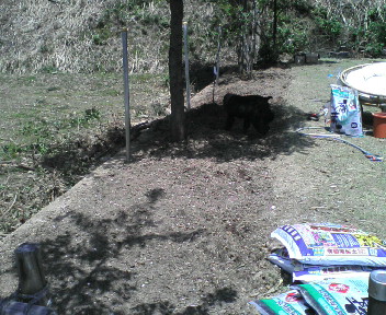 20100503110446.jpg