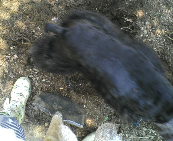 20100503104536.jpg