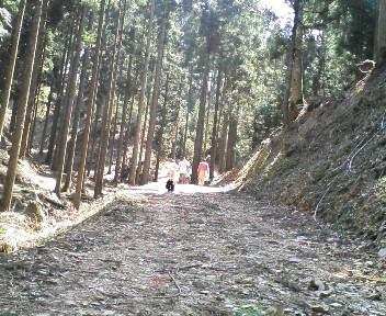 20100503133525.jpg