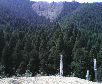 20100503134150.jpg