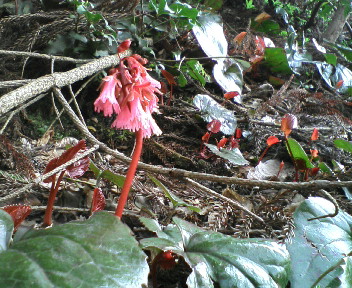 20100503141537.jpg