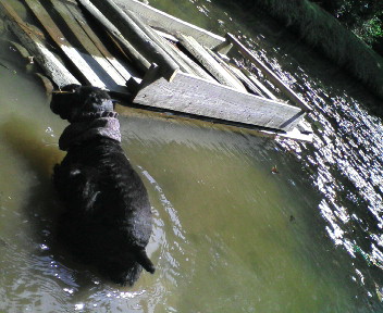 20100503143319.jpg