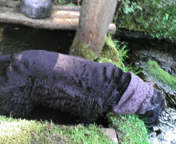20100503142624.jpg