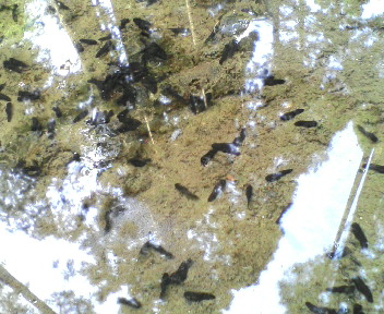 20100503144431.jpg