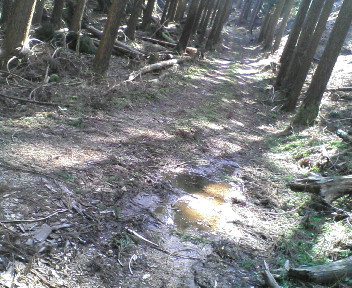 20100503144944.jpg