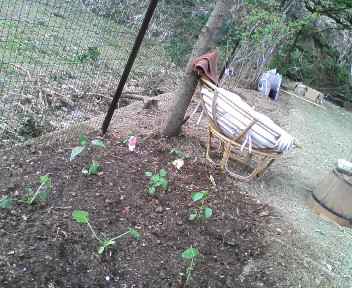 20100503175010.jpg