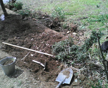 20100501110023.jpg