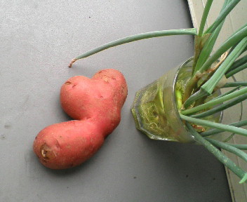 20100703091712.jpg
