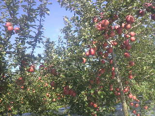 2011101909410001.jpg