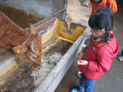 餌やり