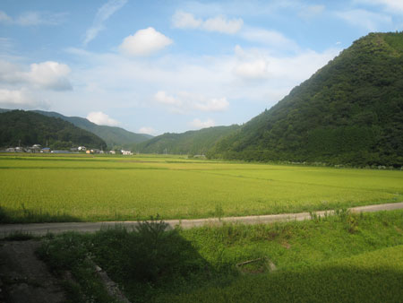 米の風景