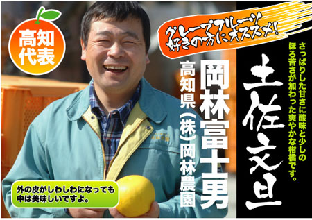 土佐文旦