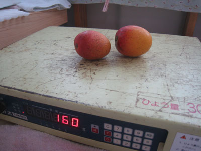 1個80g