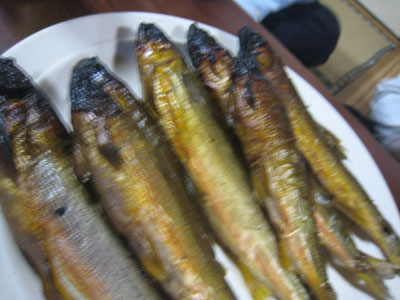 鮎
