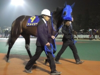 アメイジア
