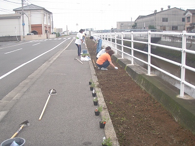 苗を入れる