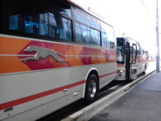 DVC00258.jpg