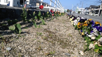 愛のこみち2