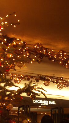 101224_2152231.jpg