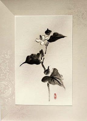 水墨画の花・ドクダミ（十薬） | 綺麗でしょ！「花のスケッチ」
