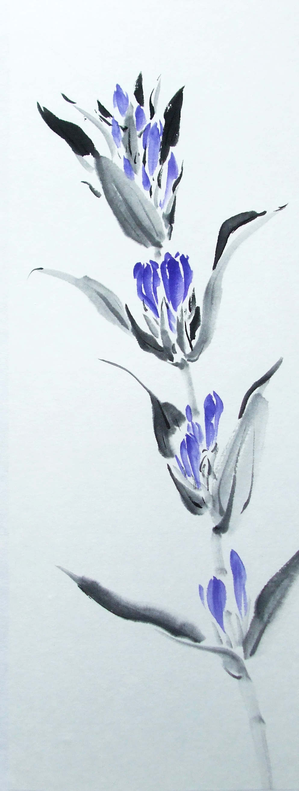 【真作】絵画　日本画6号　竜胆（リンドウ）図　清らかな群青の植物画　W108 秋の花 リンドウ ( ポストカード 絵葉書 絵はがき 秋 花 竜胆
