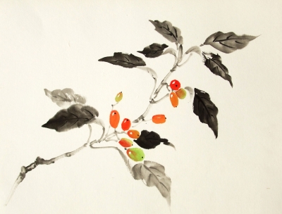 水墨画 赤い果物 葉と「りんご」の文字が描かれたりんごの水彩画。 | Premium写真