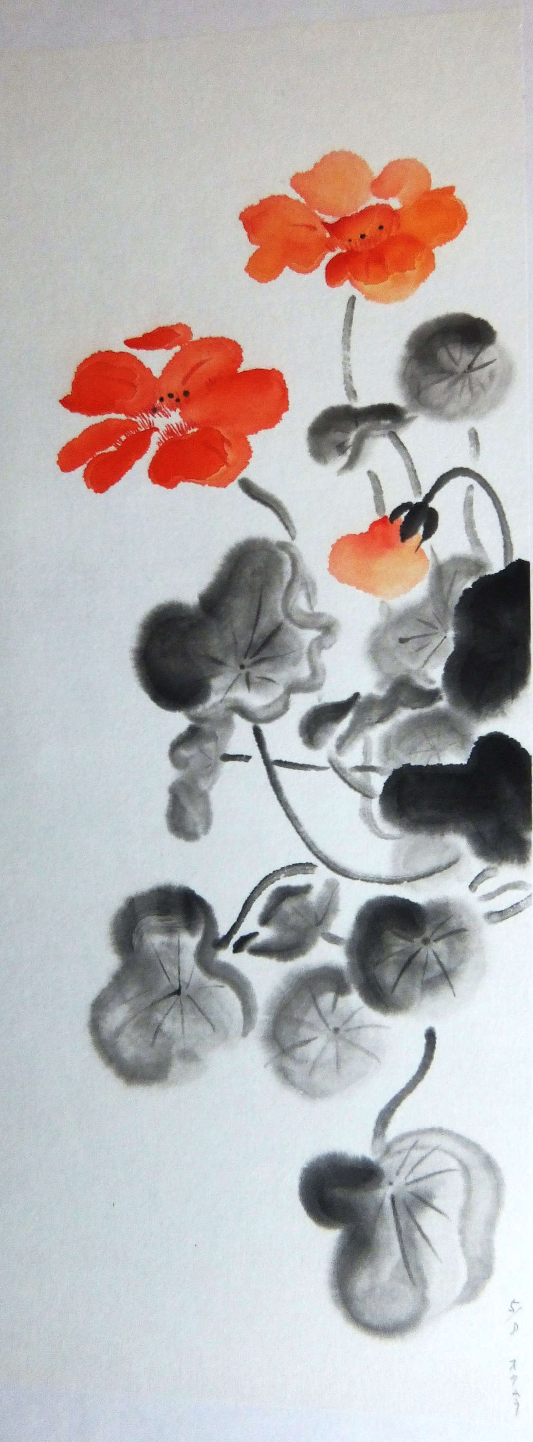 水墨画の花（墨彩画）キンレンカ・カンパニュラ | 綺麗でしょ
