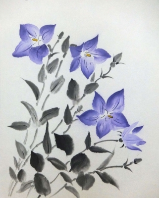 田中一村作　水彩画「桔梗」 楽天市場】キキョウ1 ( 桔梗 夏のお便り 水彩画 ) ☆当店