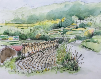 水彩画 農村風景 S. Naichi 水彩画 農村風景 S. Naichi 水彩画 秋の農村風景 watercolor painting