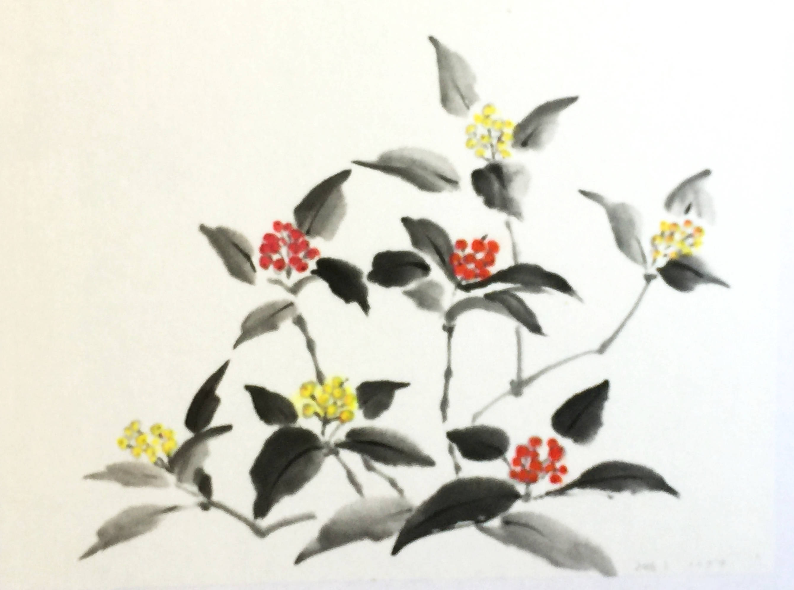 水墨花の調べ 水墨画の花（墨彩画）・ミニ水仙・千両 | 綺麗でしょ！「花の