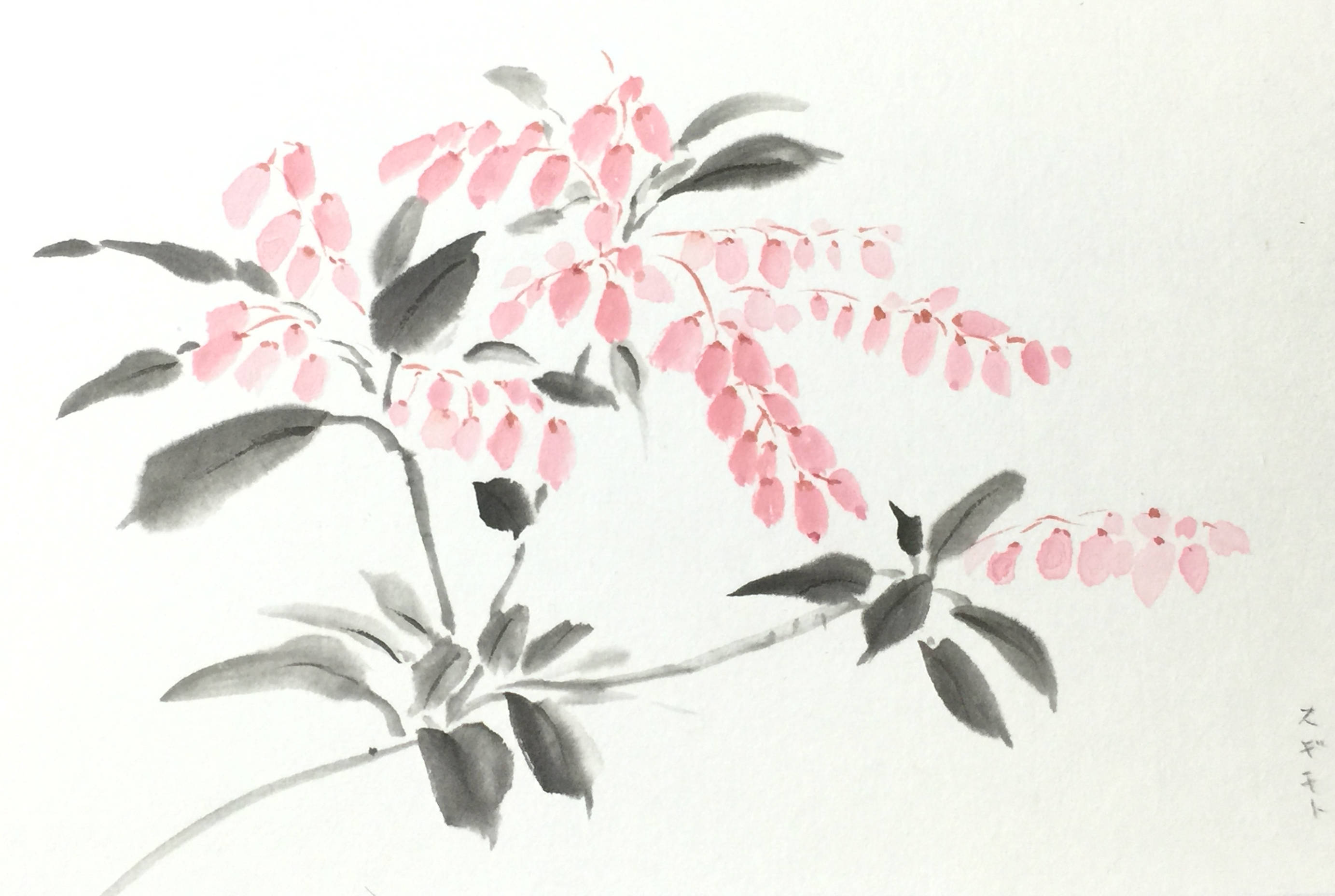 墨彩画? 水彩画? 水墨画?　落款有り 花 額付 墨彩画? 水彩画? 水墨画? 落款有り 花 額付 辻風 | 水墨画 墨彩