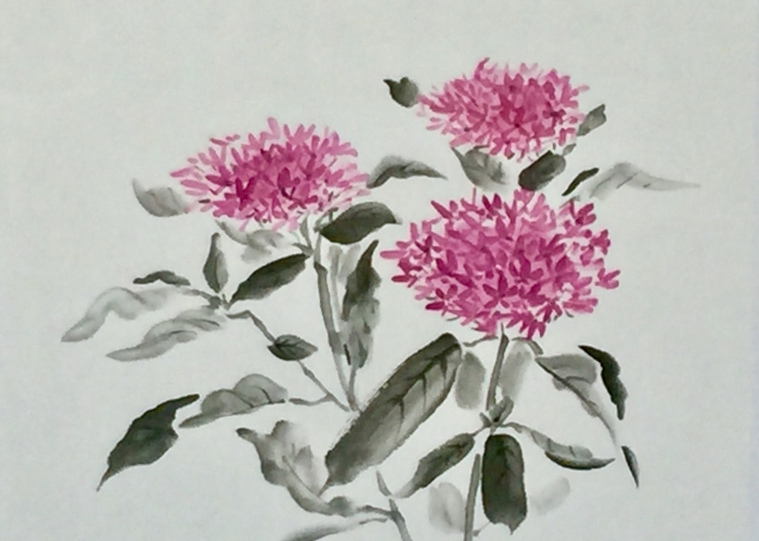 水墨画の花（墨彩画）ペンタス・ムラサキツユクサ・コスモス・カボチャ