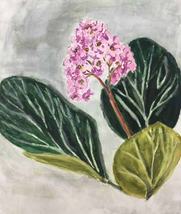 オーダーペイント　薔薇とマーガレット　水彩画　原画 オーダーペイント薔薇とマーガレット水彩画原画