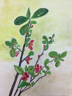 水墨画の花（墨彩画）サイネリア・スイトピー・ツバキ・ボケ