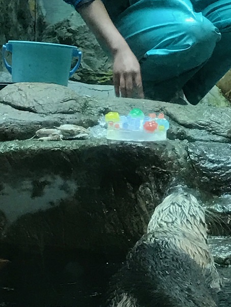 21歳おめでとう!