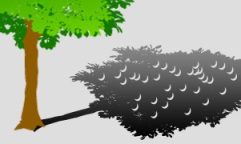 komomebi