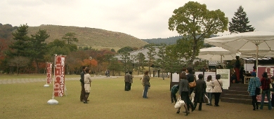 tobihino