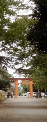 torii