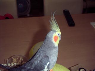 ぼくは元気ですよ!