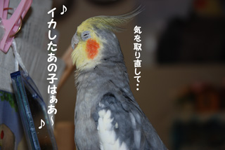 イカしたあの子は〜